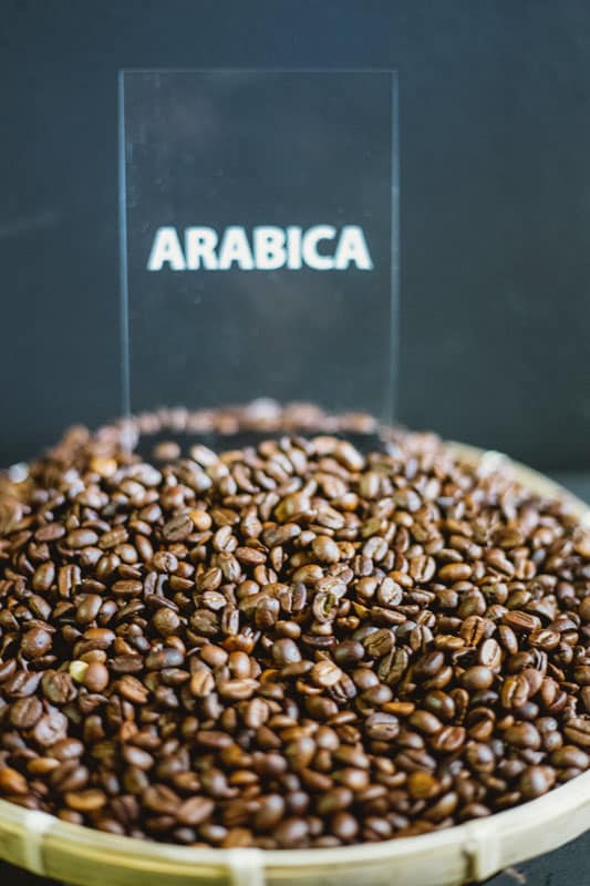 arabica coffee