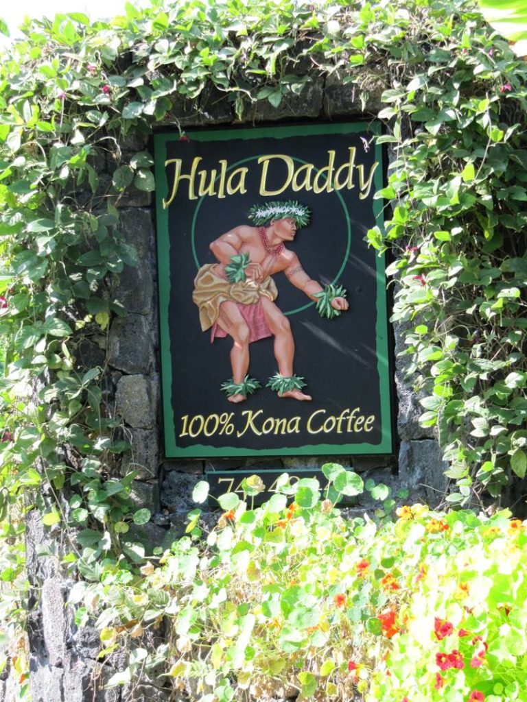 kona coffee farm tour hula daddy